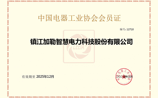 中國(guó)電器工業(yè)協(xié)會(huì)會(huì)員證